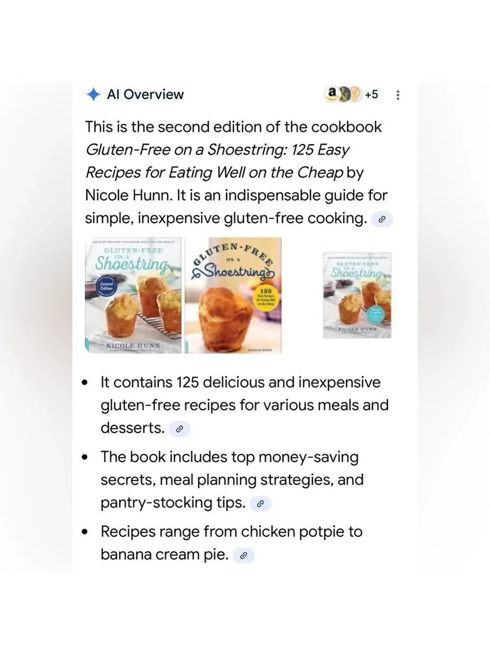 Gluten-Free on a Shoestring Cookbook by Nicole Hunn Paperback